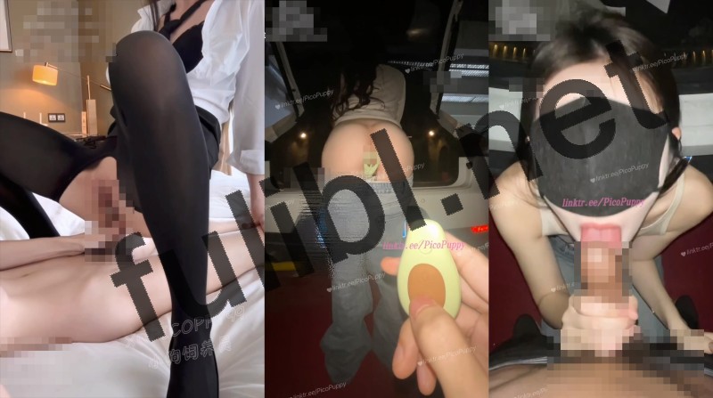 白虎福利姬@小狗饲养员(PicoPussy) 尺度作合集 第二弹[6V/7.83G]