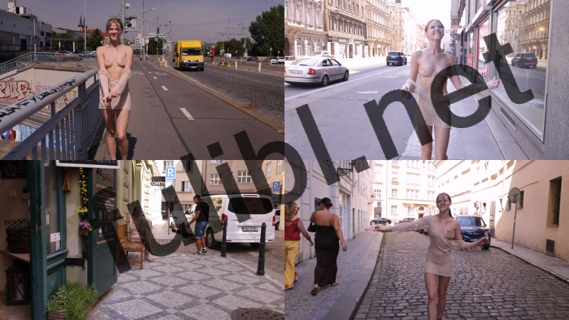 露出系白虎网红@diana 街道裸行[2V/3.43G]