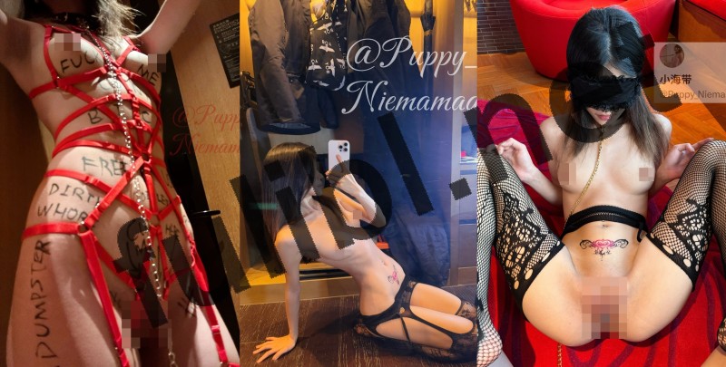 极品白虎福利姬@小海带 尺度视图合集[225P+10V/805M]