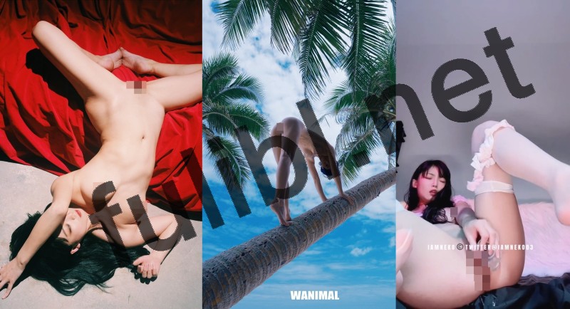 岛国白虎福利姬@I AM NEKO 尺度视图合集 第二弹[52P+19V/2.80G]